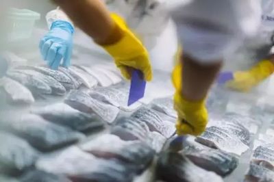 熟凍海鮮不如新鮮的好？真正頂級的鮮味，選對保藏方式才是王道